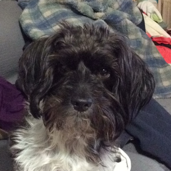 Meet your Posher, Michael - Picture 1 of 1